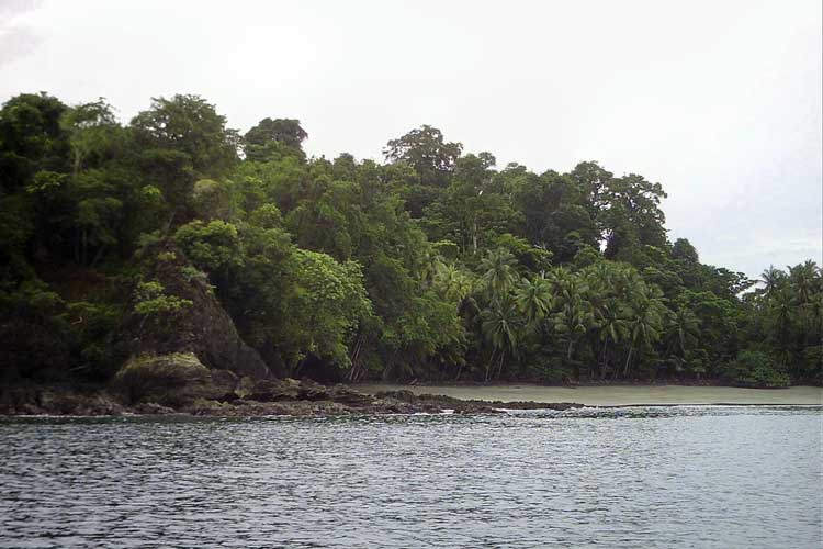 Baby Beach Outcropping