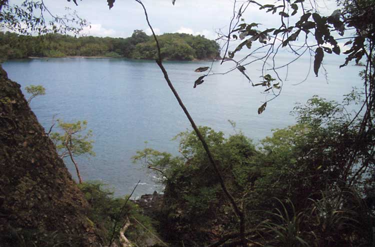 View of the harbor from the cliff