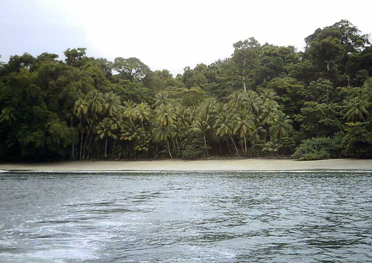Offshore of the Baby Beach