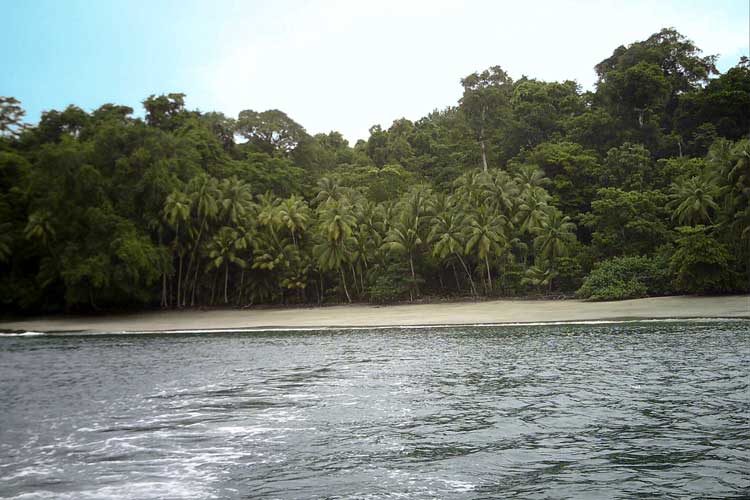 View Off the Main Beach